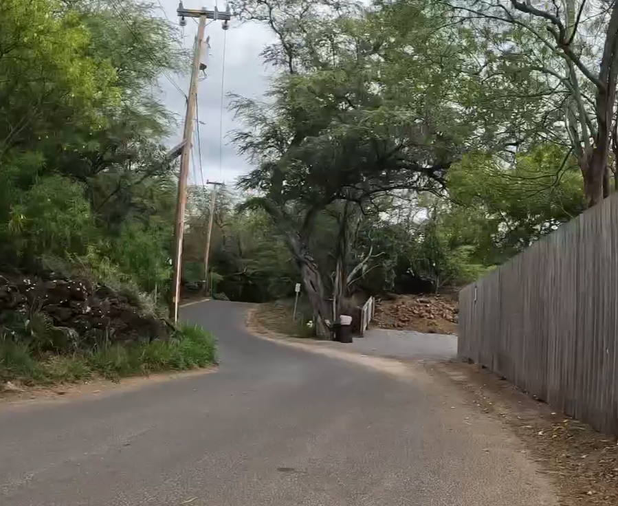 A photo of a neighborhood road in Maui