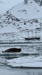 A photo of a large seal on ice flow